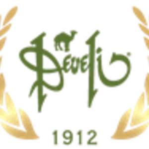 DEVELİ TUR.HİZ.GD.LTD.ŞTİ logo