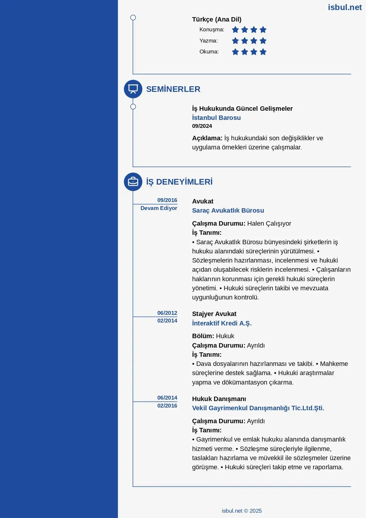 CV küçük önizleme 2