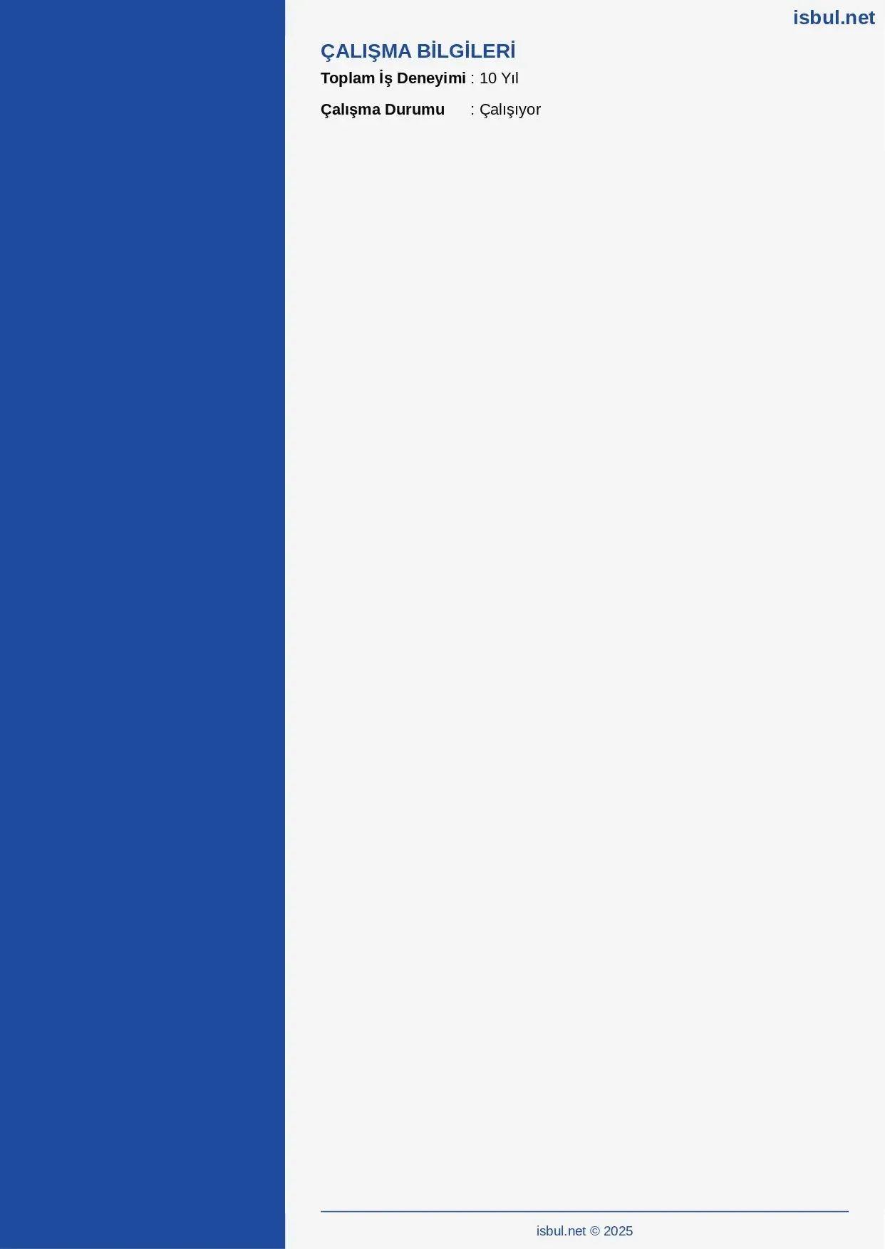 CV küçük önizleme 3