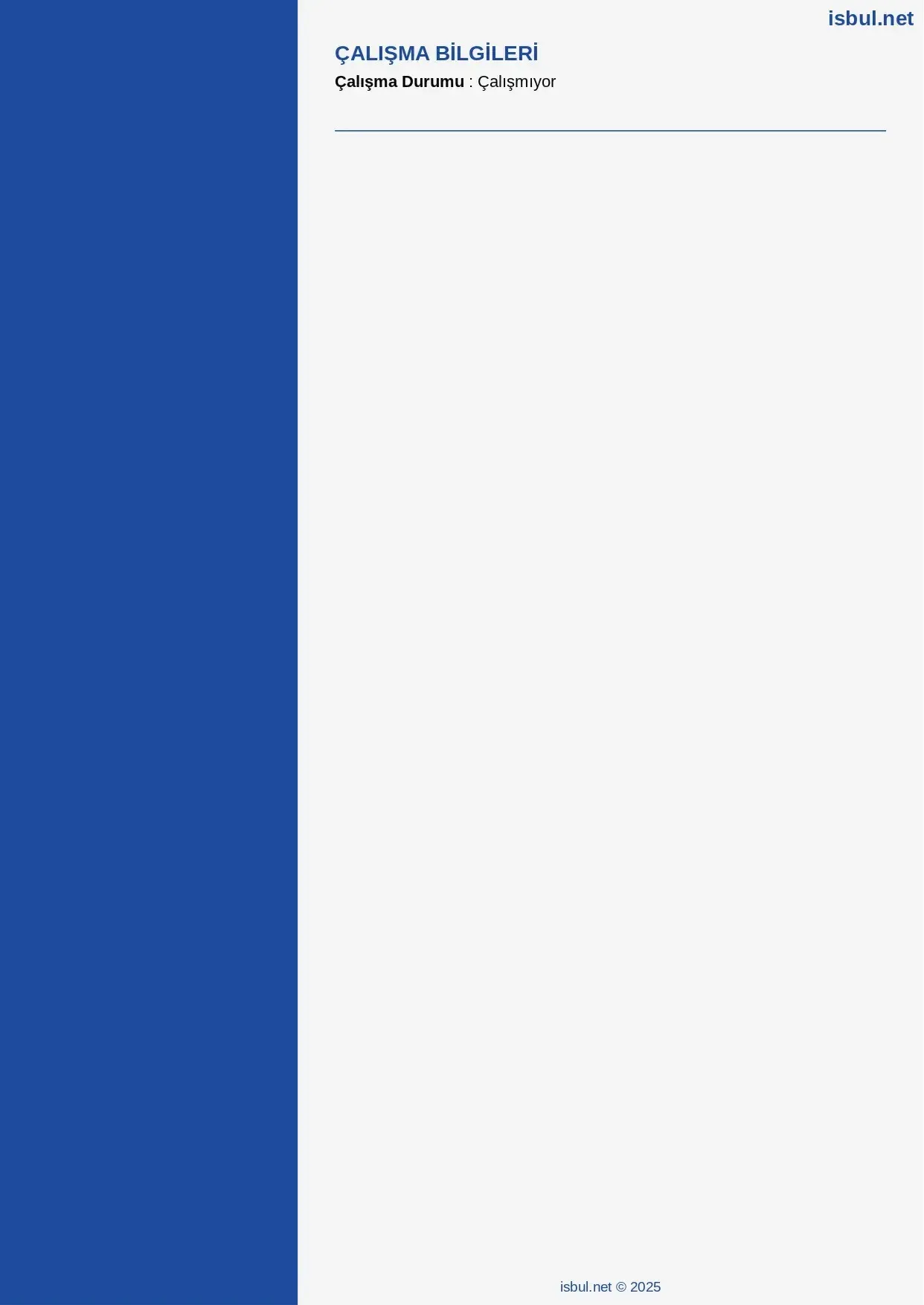 CV küçük önizleme 2