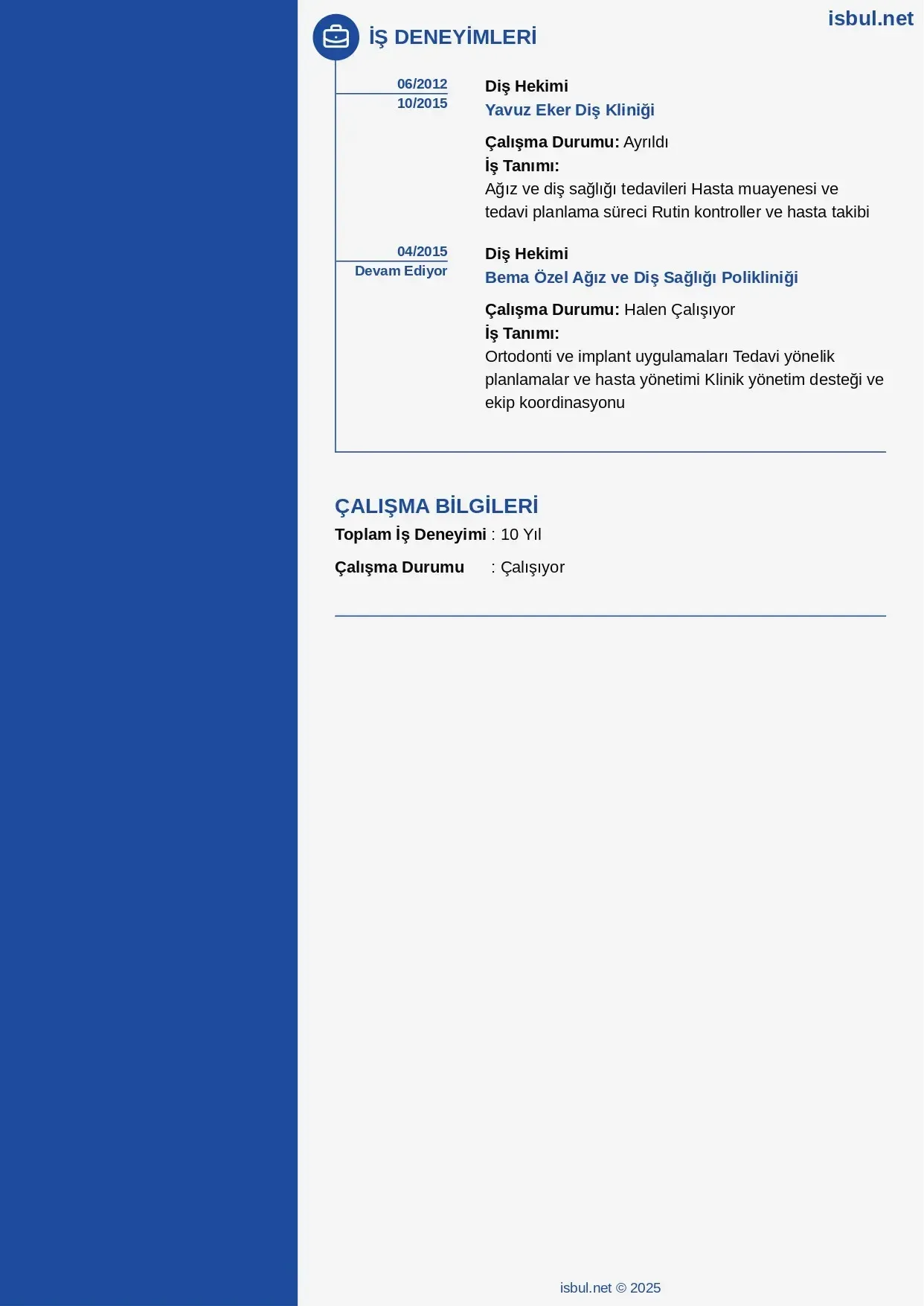 CV küçük önizleme 2