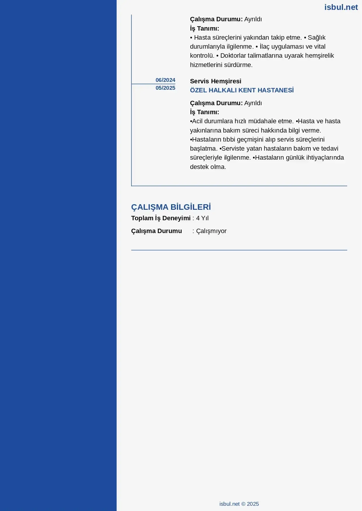 CV küçük önizleme 2