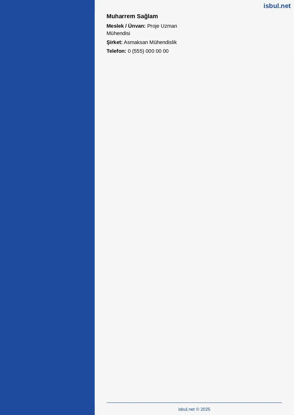 CV küçük önizleme 3