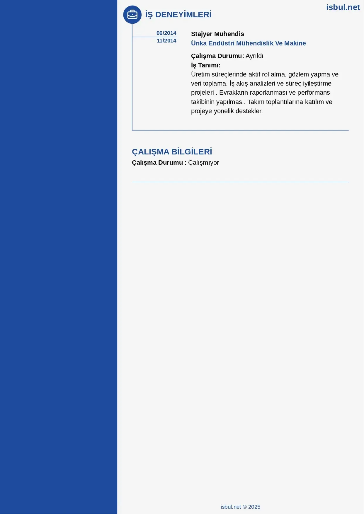 CV küçük önizleme 2