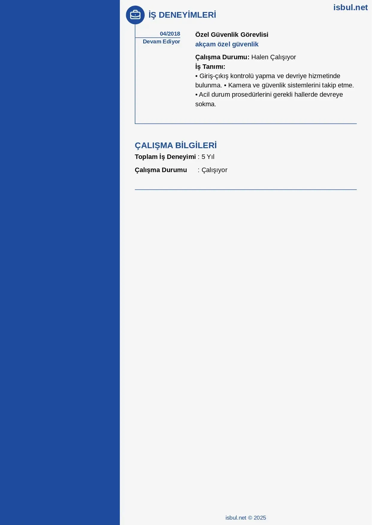 CV küçük önizleme 2