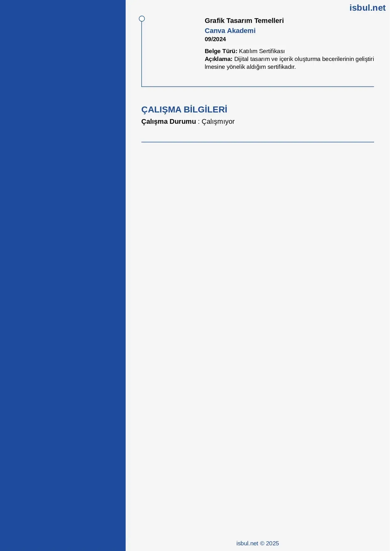 CV küçük önizleme 2