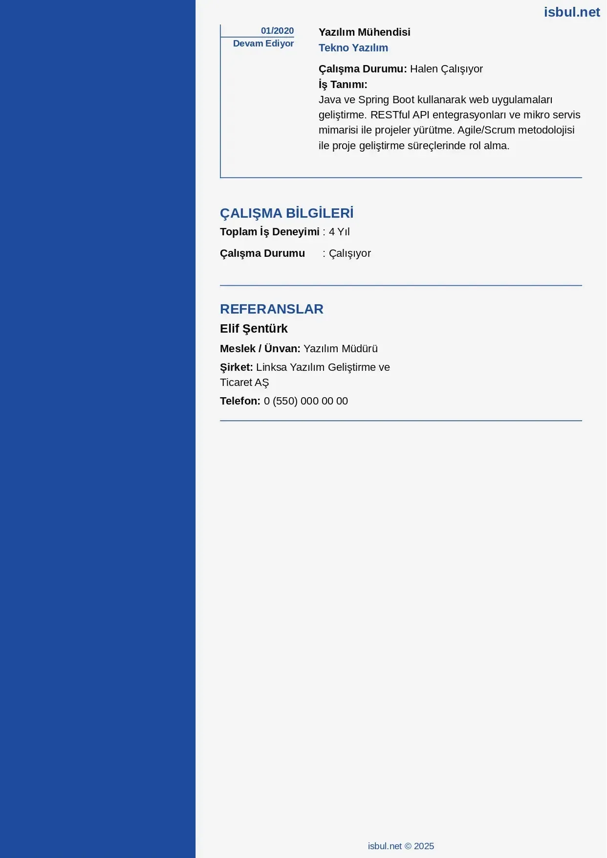 CV küçük önizleme 3