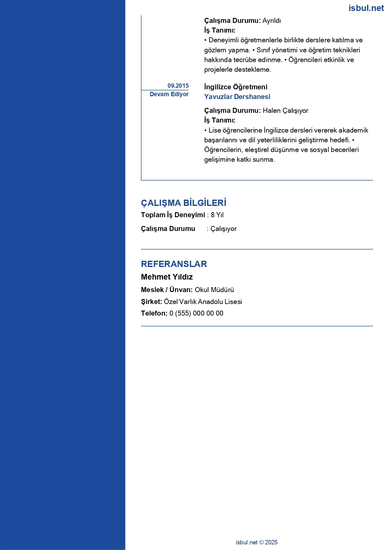 CV küçük önizleme 2